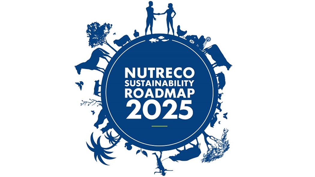 RoadMap 2025