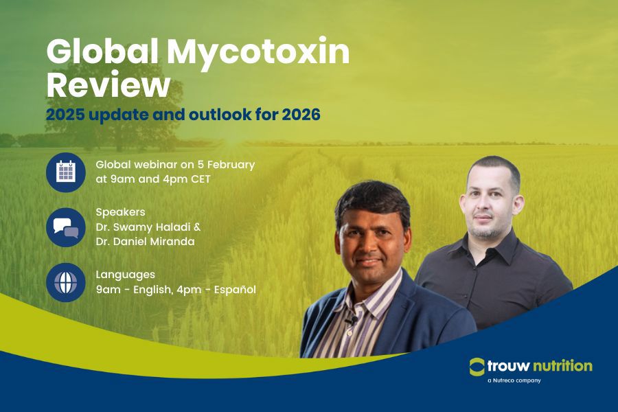 Global Mycotoxin Review banner